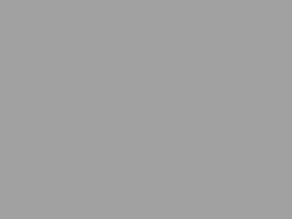 Lamellenfarbe RAL 9006 Lamellenfarbe RAL 9006